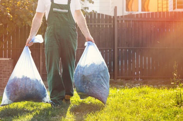 Best Demolition Debris Removal  in Ofallon, IL